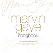 Medley by Marvin Gaye