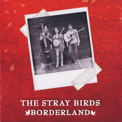 Birds Of The Borderland by The Stray Birds