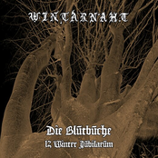 Die Blutbuche (12 Winter Jubilaeum)