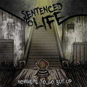 Nowhere to Go but Up