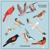 All the Light in Autumn