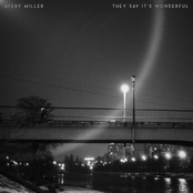 They Say It's Wonderful