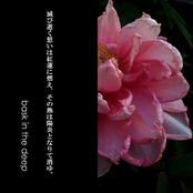 滅び逝く想いは紅蓮に燃え、その熱は陽炎となりて消ゆ。