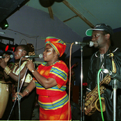 the afrigo band