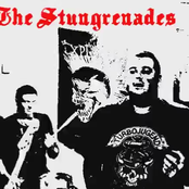 the stungrenades