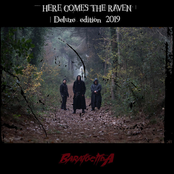 Here Comes the Raven