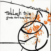 Wolf Eyes by Tolchock Trio