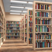 THE LIBRARY SONG