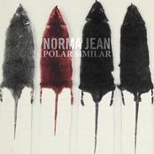 Polar Similar Album Picture