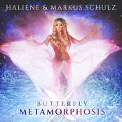 Butterfly x Metamorphosis