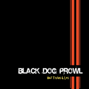 Black Dog Prowl: Half Truths & Lies