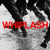 Whiplash