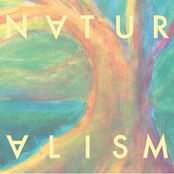 Naturalism