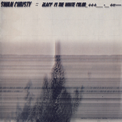 Black Is The White Color