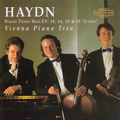 Vienna Piano Trio: Haydn: Piano Trios Hob.XV - 18, 24, 29 & 25 'Gypsy'