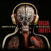 False Flag by Organ Thieves