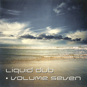 Liquid Dub Volume Seven