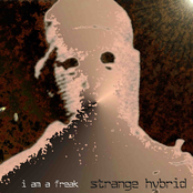 Strange Hybrid