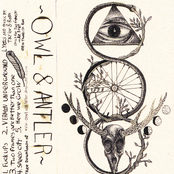 Owl & Antler