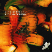 k(no)w right . k[no]w wrong