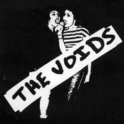 The Voids: the voids