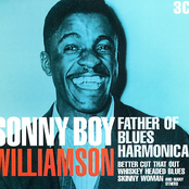 Mean Old Highway by Sonny Boy Williamson