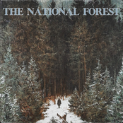 When I Reach the Light