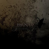 Following Ivy by Haunted Shores