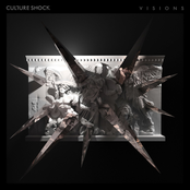 Culture Shock: Visions