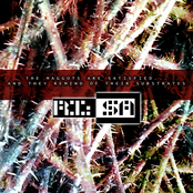 The Maggots Are Satisfied... And They Remind of Their Substrates