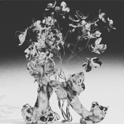 Nothingness / Bullicios