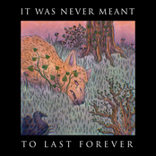 It Was Never Meant to Last Forever