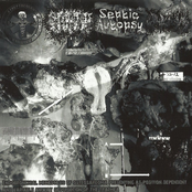 Streptococcus Pyogenes / Splattered Orifice / Septic Autopsy / Inopexia