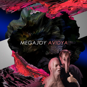 Avidya