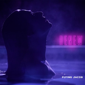 Flying Jacob: Renew