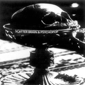 Chasing Victims Through Sounds Systems