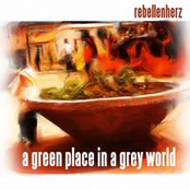 a green place in a grey world