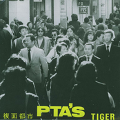 Tiger / Fukumen Toshi