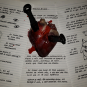 Mesmo Dizendo Que Não