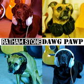 Dawg Pawp