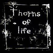 Live At 924 Gilman Street 01/31/2009