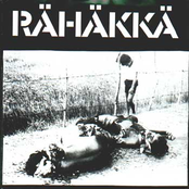 Napalmia