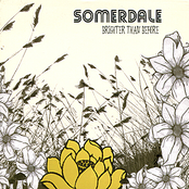 Brighter Than Before