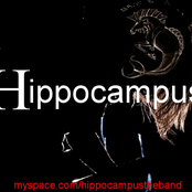 hippocampus