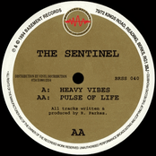 Pulse Of Life by The Sentinel