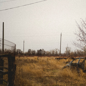 I Never Learned to Hunt