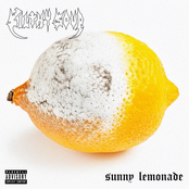 Sunny Lemonade