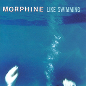 Hanging On A Curtain by Morphine