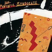 The Zawinul Syndicate - Black Water Artwork