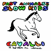 Cavalli